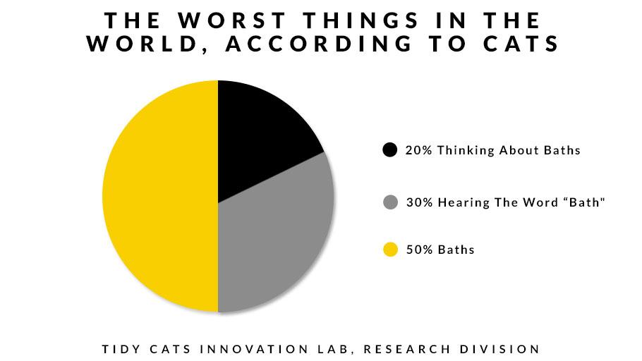 TidyCats's tweet image. A focused list. #TidyLab #Science