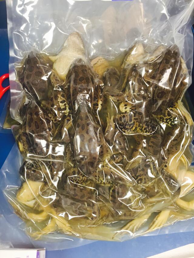 Vanessa Prindle tweet media