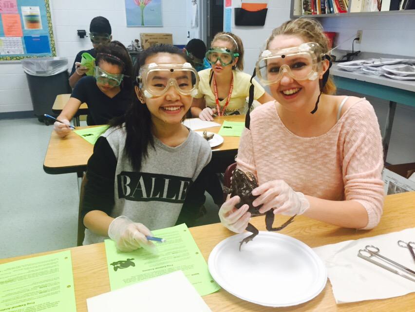 Vanessa Prindle tweet media