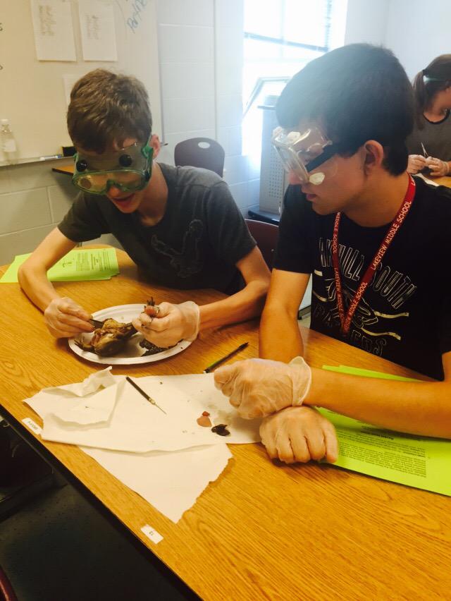 Vanessa Prindle tweet media