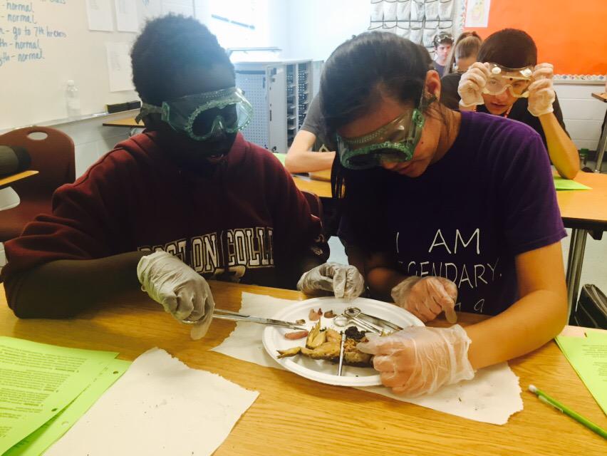 Vanessa Prindle tweet media