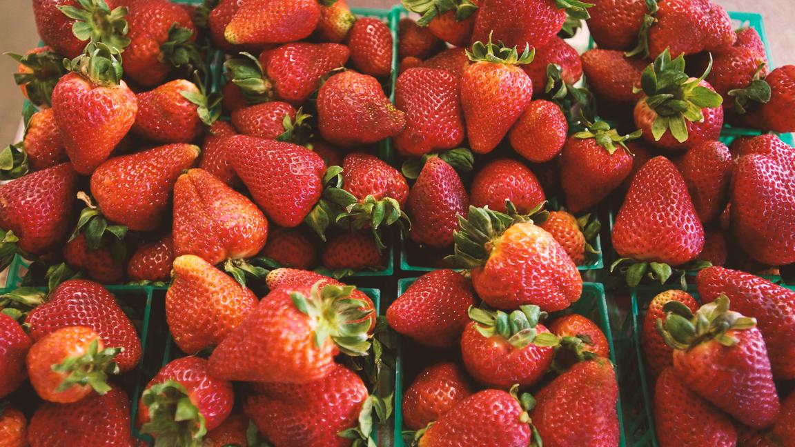 I_LOVE_NY's tweet photo. #FF @EdibleHudson for all info on local food and the local food movements of the greater Hudson Valley &amp; Catskills. http://t.co/yhsM0C67iV