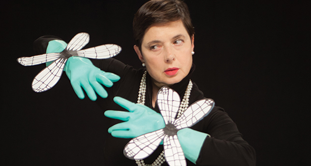SundanceProd's tweet photo. Tune in THIS SUNDAY 5/17 for #IsabellaRossellini's #GreenPornoLive!! 8PM ET only on @ovationtv.http://t.co/KbnS8GoKFm http://t.co/42IvRiCU4Y