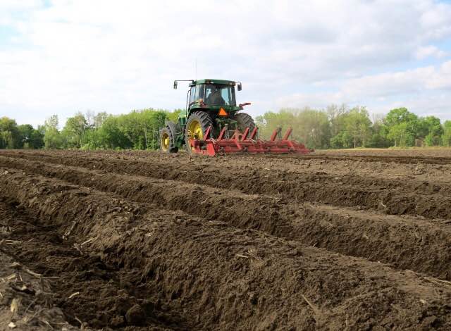 #DidYouKnow potatoes can sunburn? <a href="/mikaylastreef/">Mikayla Streef-Bégin</a> shares how: ow.ly/MZpRm #ontag #FarmFactFriday #farm365