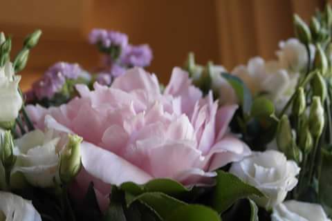 MinouWedding's tweet photo. #Beautiful #Peonies and #Lisianthus! #flowers #wedding #weddingplanner #mariage #Minou #minouwedding #romantic #love http://t.co/kLKsBTJumP