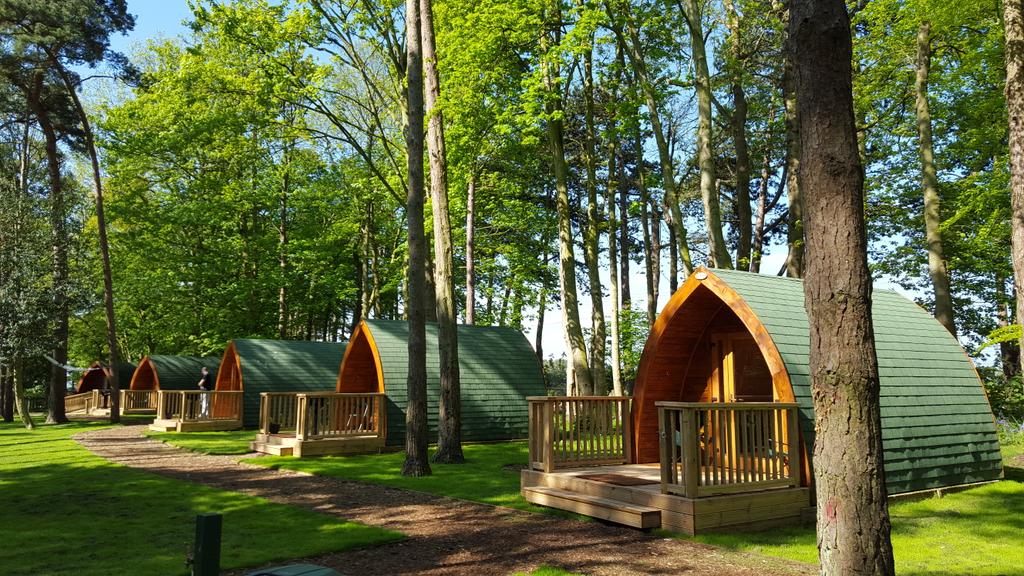 PickNickDesign tweet picture