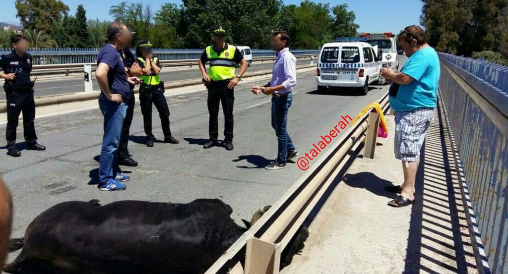 Talaberah's tweet photo. No doy crédito. Lamentable nivel que se te escape un toro. 6 heridos hasta el momento y uno corneado en el Prado. http://t.co/UIgWGFcWRi