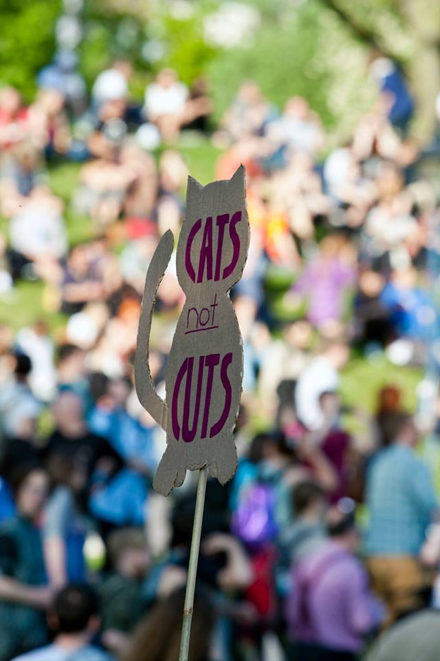 ResearchMediaCS's tweet image. Cats...better than most things really