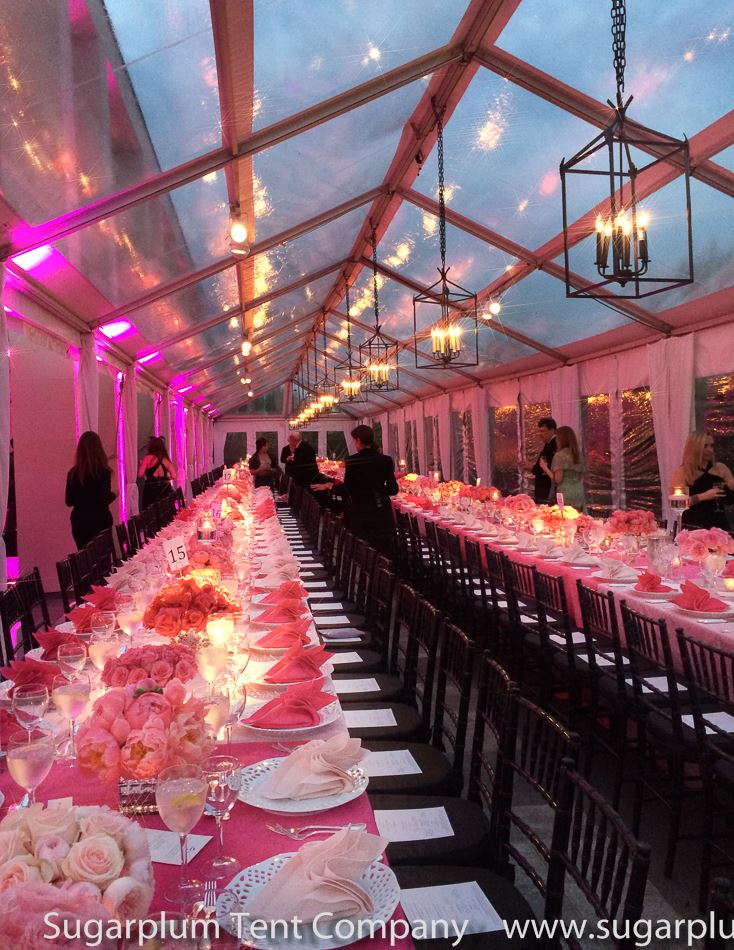 Sugarplum tent company was proud to be a part of the Spring Gala supporting the #WashingtonBallet