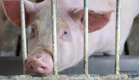 Change's tweet photo. "There is no value in using animals...to teach human surgery." See Gerald's petition here: https://t.co/Ey652r2Npv http://t.co/NZUP8jEwCM