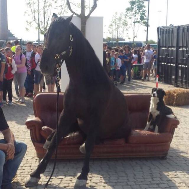 Expo2015Milano's tweet photo. Un milione di metri quadri possono essere tanti... anche per i più allenati #scarpecomode http://t.co/H4rJACbcni http://t.co/Cr3954w4vI