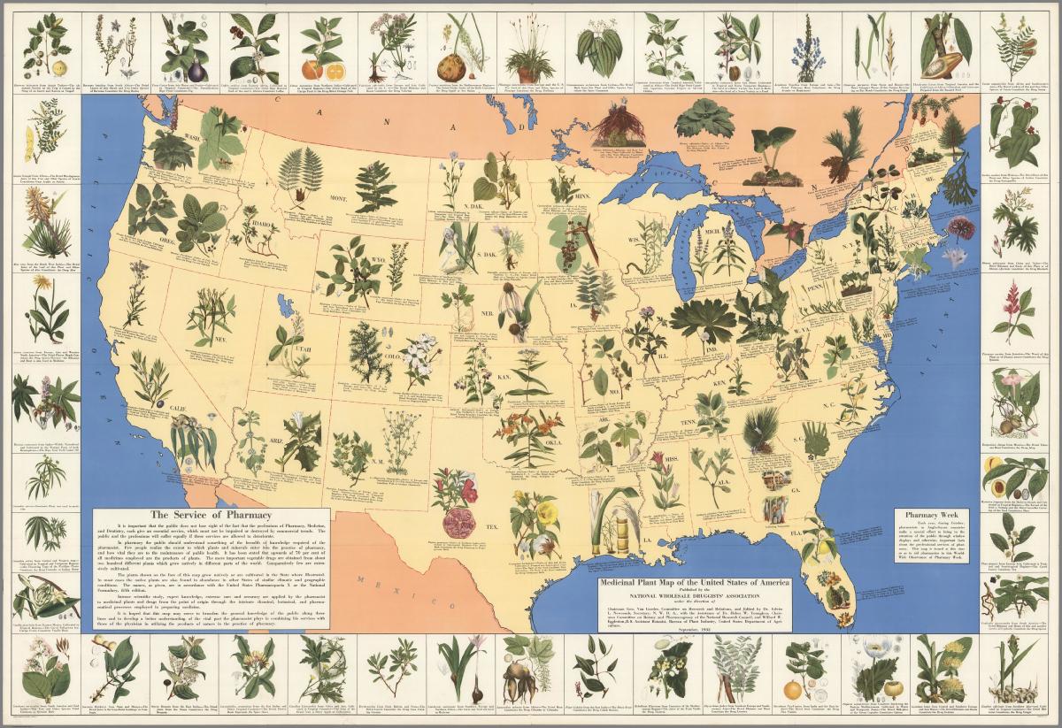 LymeWorldOrg's tweet photo. Amazing 1930's Pharmacist Map of 'Herbal Cures' Released to Public http://t.co/O97fa0Dmgd #LymeWorld #LymeDisease http://t.co/75vtbStxSQ