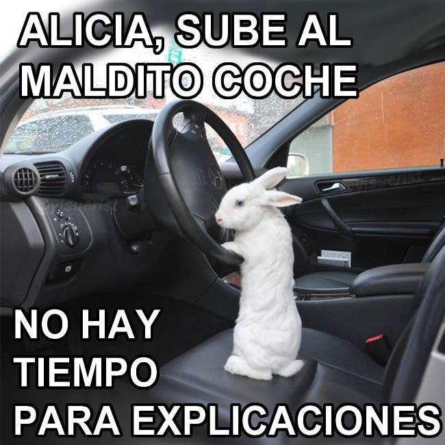 yisucrist's tweet photo. "alicia en el país d las maravillas" en la puta bida real http://t.co/6Qg0CsatBB