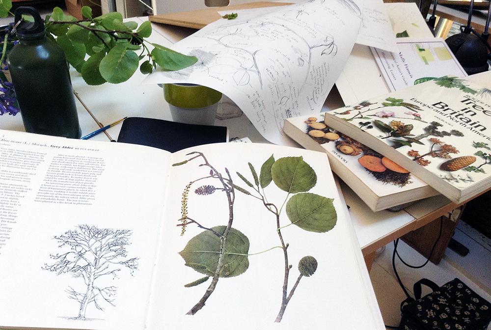 Ecogeographers's tweet photo. Started #beech research for @sustrust's #crenvergrove. Looking at its stories and morphology. Next microscope &amp; soils http://t.co/qcrOmqavDv