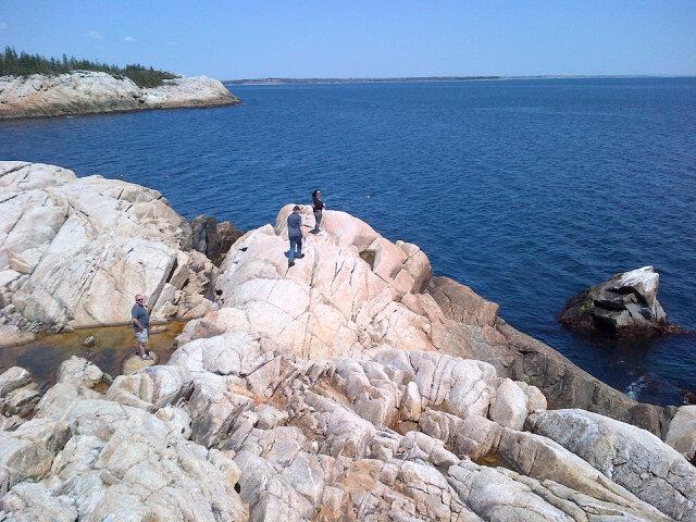 stephdresch's tweet photo. Exploring the rocks in #HerringCove #beauty http://t.co/Fdv6QEjrEu