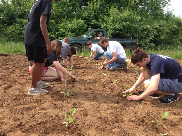 katherineowens's tweet photo. Planting the Ward Hall garden! #DOSECS15 @ECS_LnJ http://t.co/gpuDgNcxCX