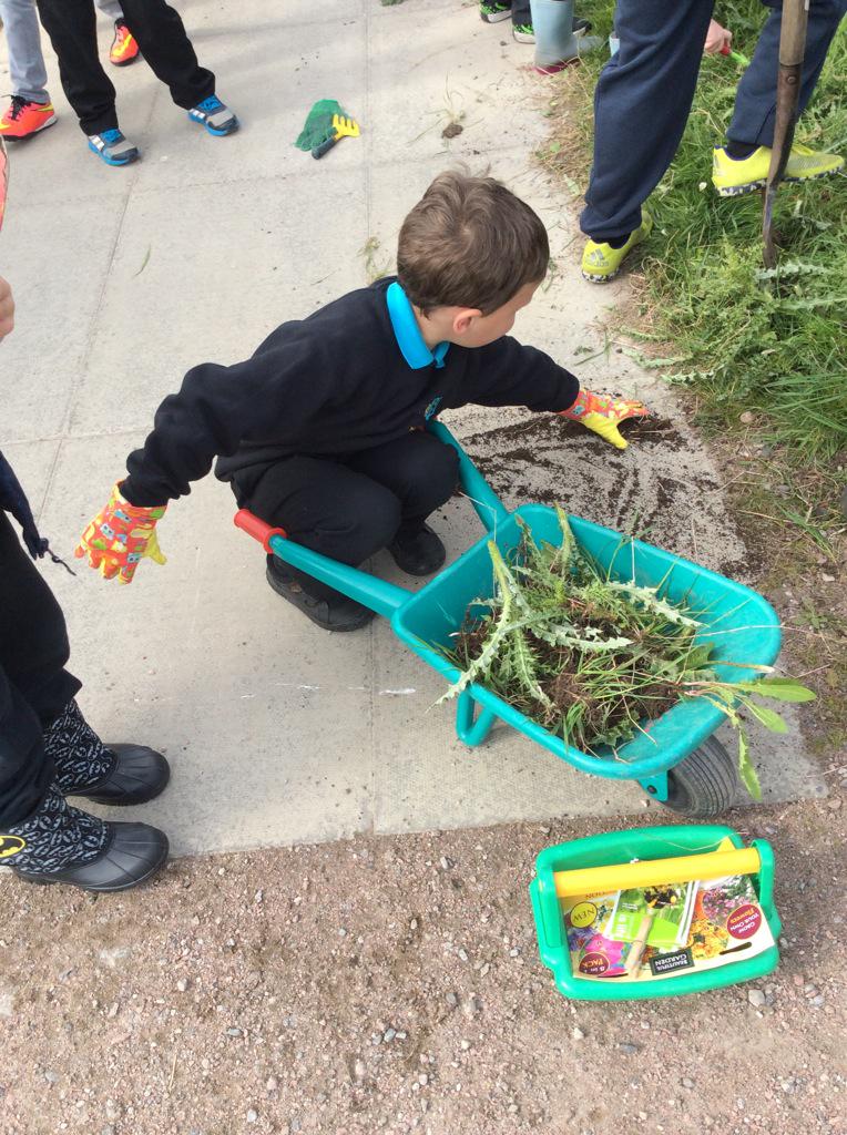 hiltoninverness's tweet photo. Lots of hard work in Miss Innes' growing group today! Almost ready for planting next week. #growinggroups http://t.co/mqkwogvazR