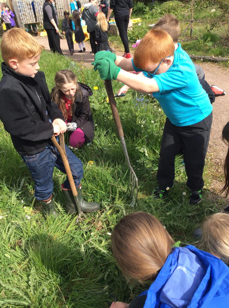 hiltoninverness's tweet photo. Lots of hard work in Miss Innes' growing group today! Almost ready for planting next week. #growinggroups http://t.co/mqkwogvazR