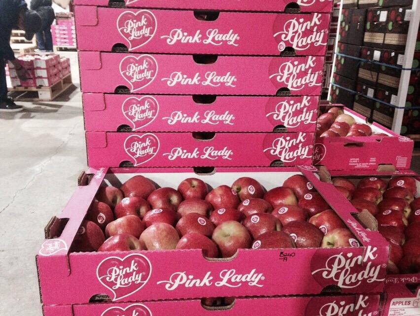 TommievanZyl's tweet photo. #ZZ2 #PinkLady harvest of 2015. Excellent customer value from #Ceres #WCape + #CoreFruit, our professional salesteam. http://t.co/JFTXxYO9Vc