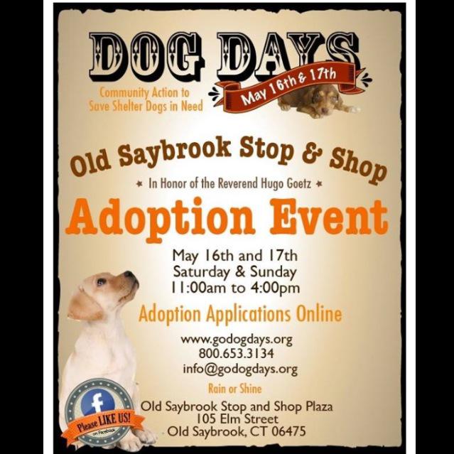 RedDogProjectCT's tweet image. Freedom Ride Friday!! The pups are arriving today and will be loved and pampered before tomorrow's event! #godogdays