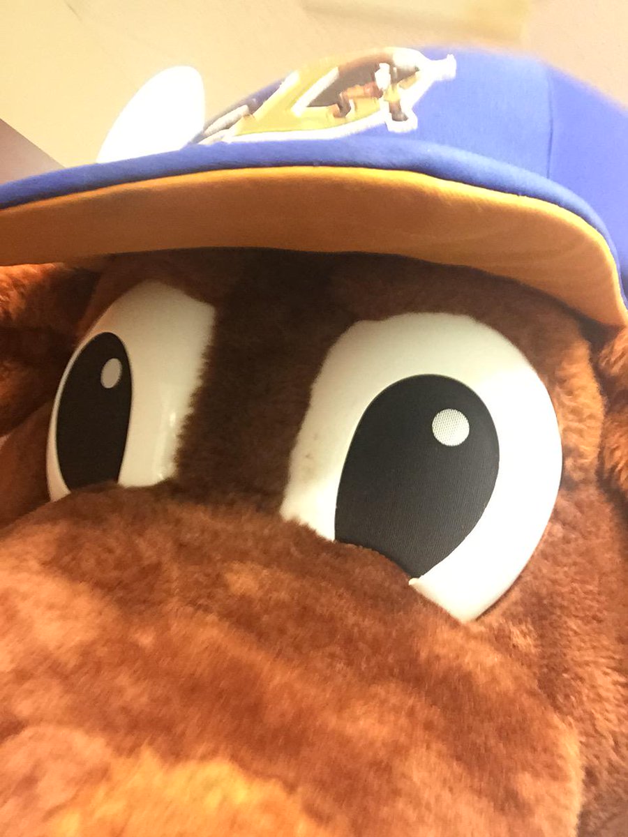 P3picquet's tweet photo. This is what happens when Wool E. gets a hold of your phone.
#bullselfie @DurhamBulls http://t.co/CuQODodUyf