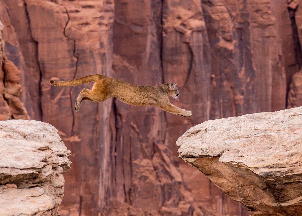 500px's tweet photo. Jump by Walt Weiss: http://t.co/vSzV6kJZri #photography http://t.co/ANLx592iNm