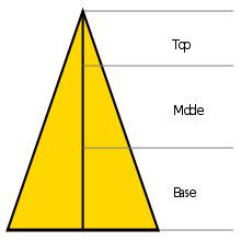 A #perfume has three sets of notes making the harmonious scent accord.Here u see the #fragrance pyramid