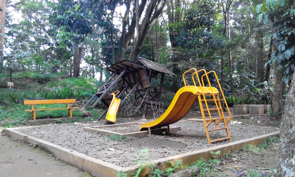 mikekusika's tweet photo. Kang @ridwankamil , kmaren sy ke taman hutan raya IrHj Djuanda. Kondisi nya mengenaskan. Ga keurus. Tolong ditangani http://t.co/dbE2JWXaj7
