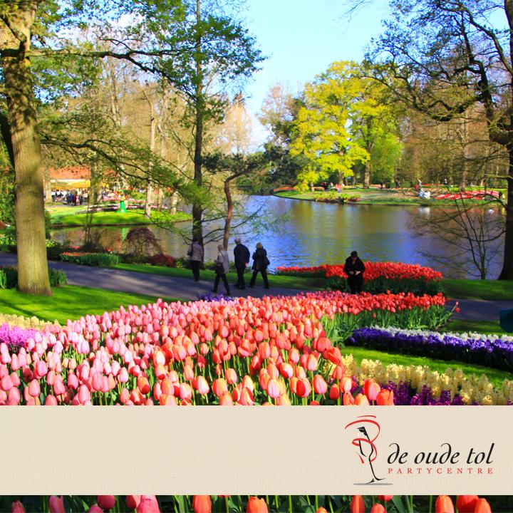 Onze kleurrijke buren in #Lisse zijn nog tot en met zondag open! Ben u al in de #Keukenhof geweest?