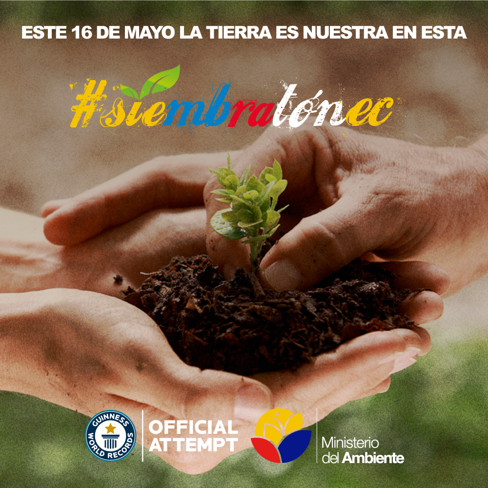 MinGobiernoEc's tweet photo. ¡Vamos por el record mundial!
Este 16 de mayo, súmate al #SiembratónEC
Siembra una planta y sé parte de este hito. http://t.co/s6xKF2w62t