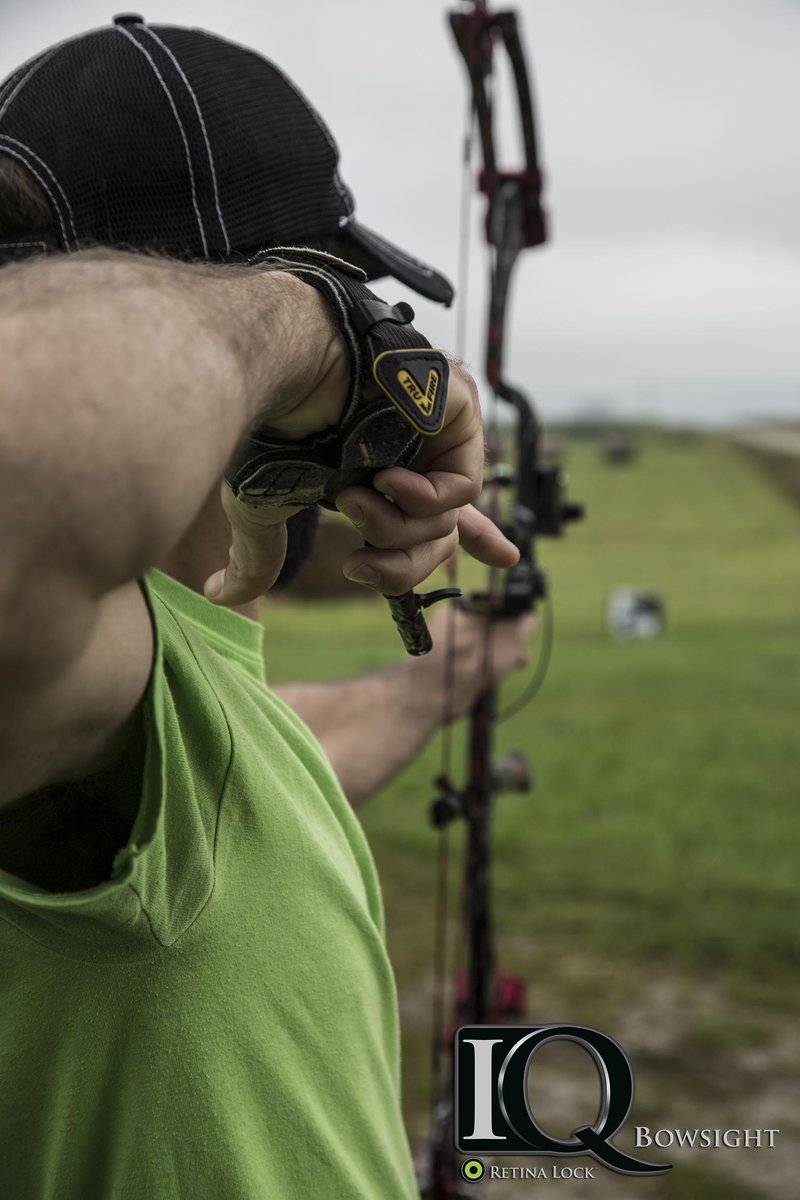 IQ Bowsights tweet media