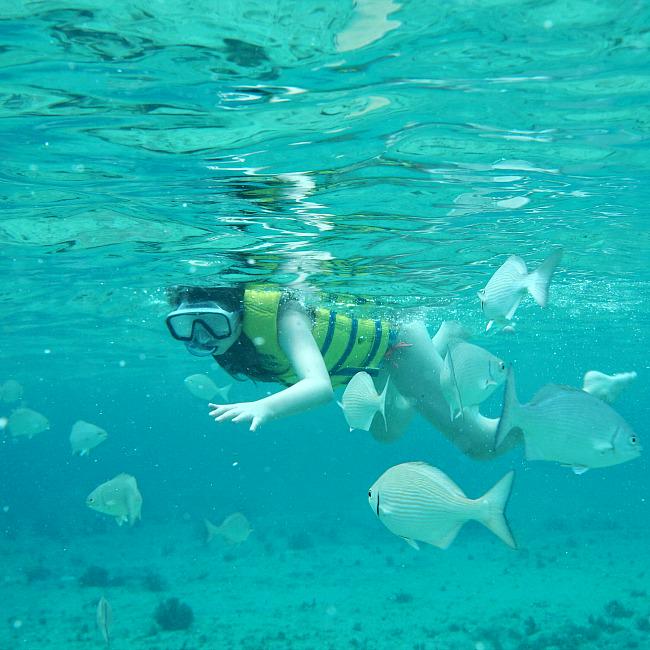 MommyMusings's tweet photo. Under the Sea. 🐠🐟 @wearefreshkids #wearefreshkids #freshmoms #naturallykids #ad http://t.co/MwZoB3UDgy http://t.co/nCc9nUisBU