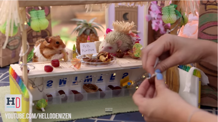 grubstreet's tweet photo. Watch a tiny hamster and hedgehog have a miniature tiki party: http://t.co/UcAEAlTpMa via @firstwefeast http://t.co/M464E26Uic