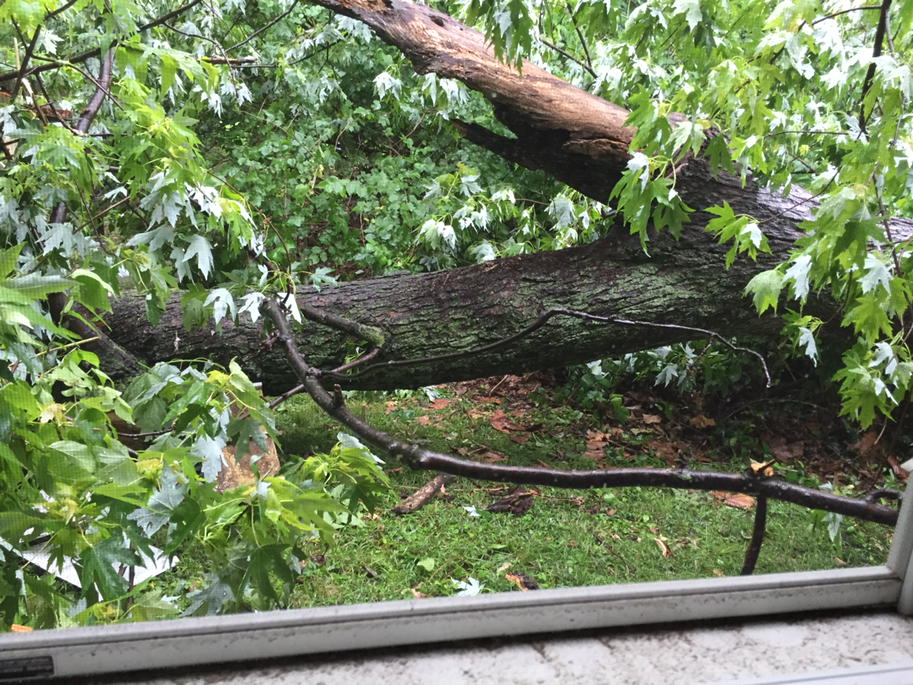 lindaloew's tweet image. A little STL storm damage we now have a tree in R bedroom Thankful no one is hurt #weekendcleanup