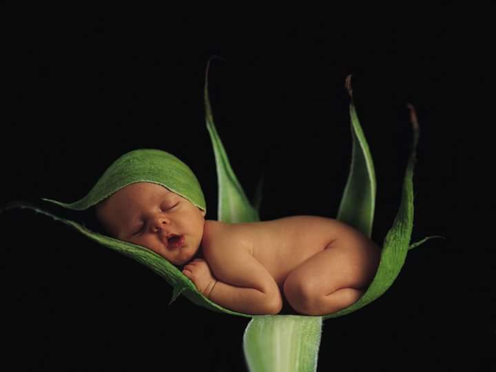 JuliaGD57's tweet photo. @Africa1953  Felices sueños ,besitos. http://t.co/2ABPB5PZ2J