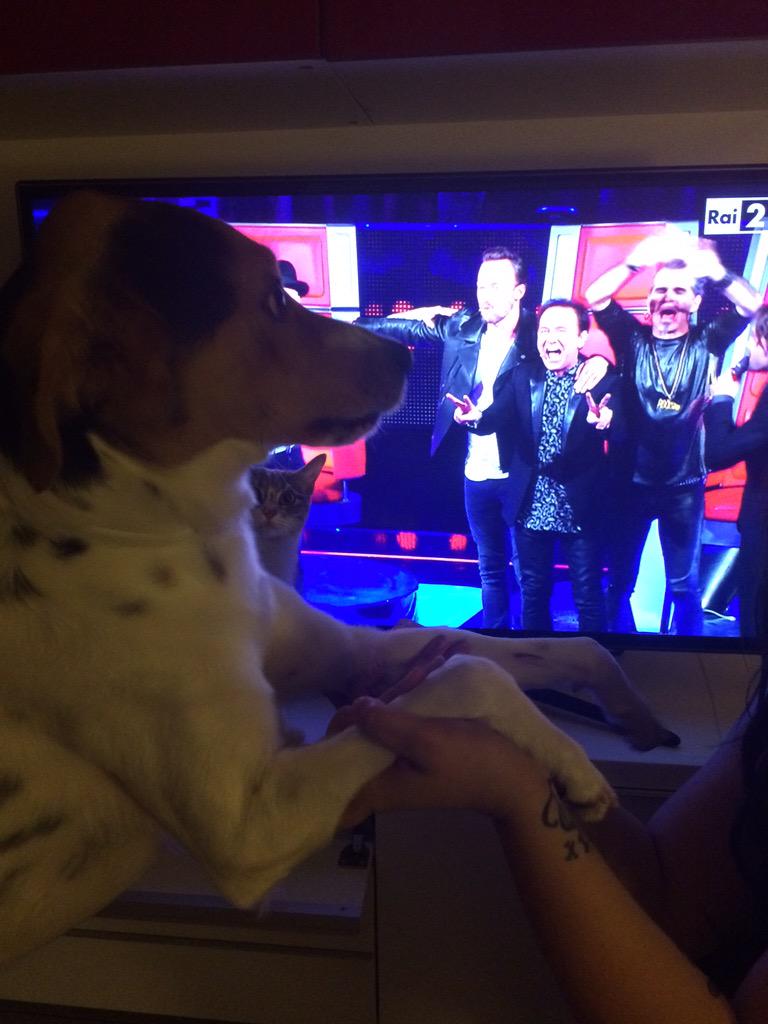 #telfie per <a href="/THEVOICE_ITALY/">The Voice Of Italy</a> e <a href="/jaxofficial/">J-Ax</a> il piccolo Freddie ha paura però dei #Faccchinetti #tvoi