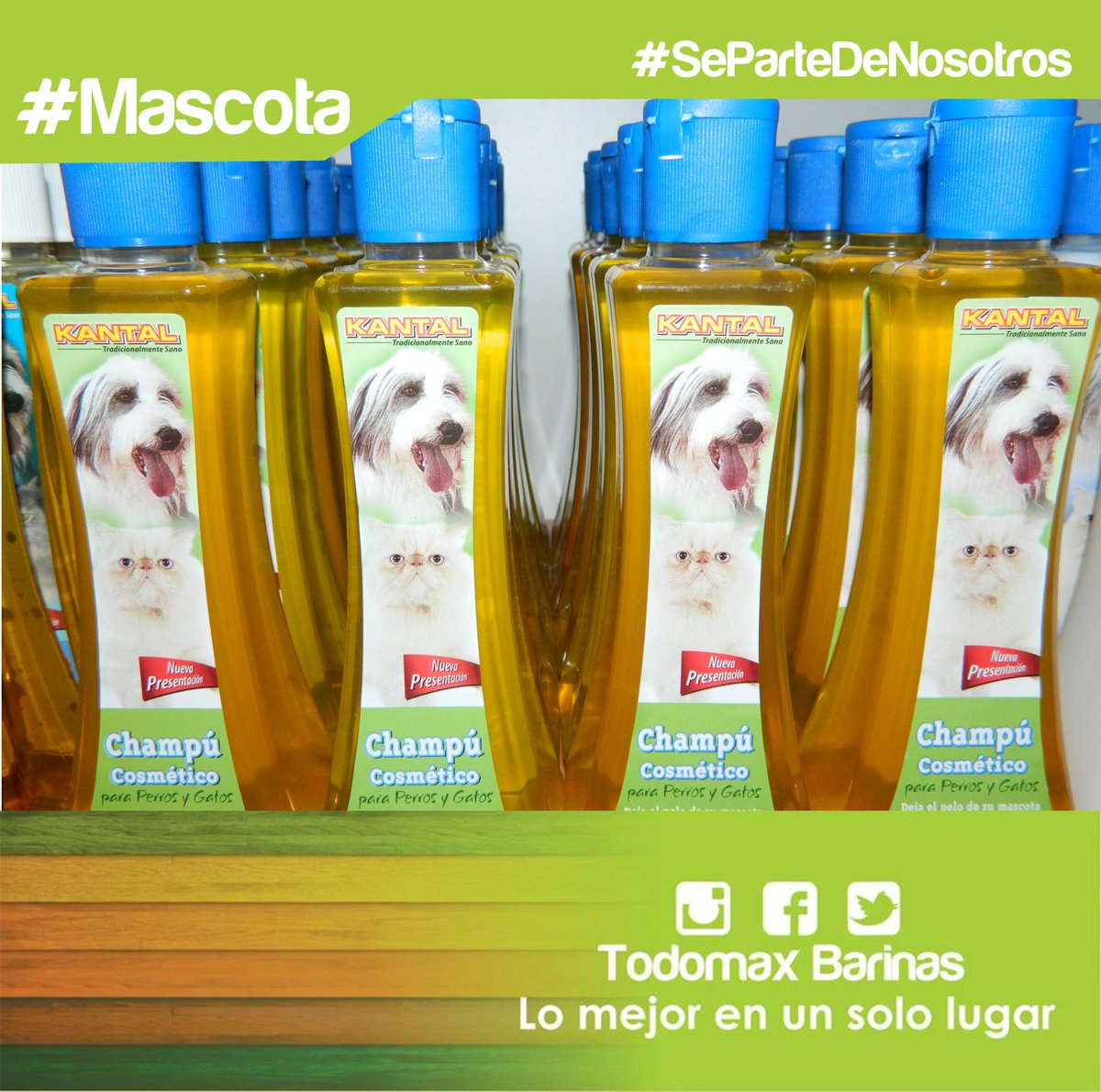 Todomaxbarinas's tweet photo. #Mascota Champú para mascota, marca KANTAL, ya bañarlos no es un problema #TodomaxBarinas #LoMejorEnUnSoloLugar http://t.co/4WEEqusuEF