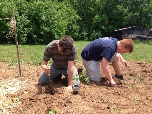katherineowens's tweet photo. Planting peppers and tomatoes at Ward Hall. #DOSECS15 @ECS_LnJ http://t.co/vETEtRS9Mu