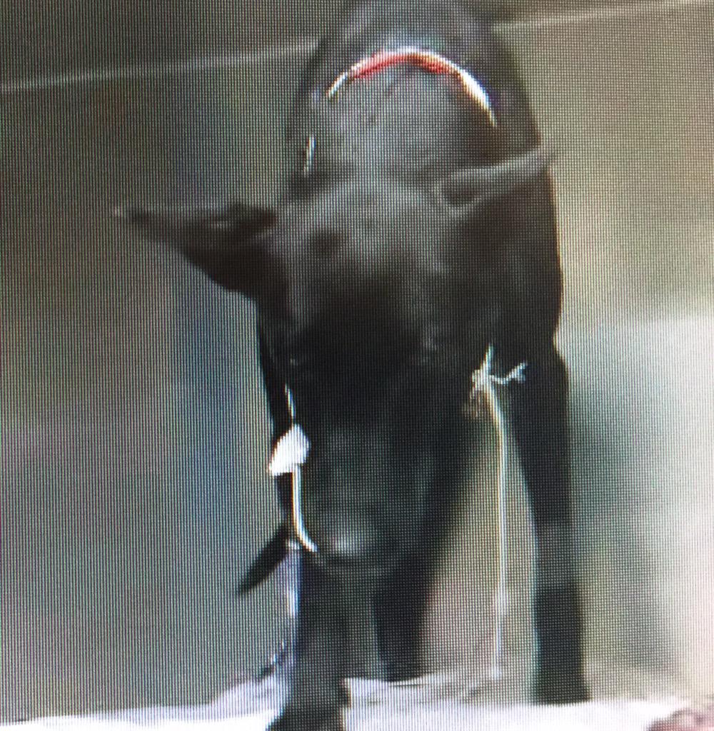 ABC7JulieSone's tweet photo. #K9Robin: feeding tube removed, docs attempting to have her eat on her own. Another blood transfusion today http://t.co/GvqN6ityM2