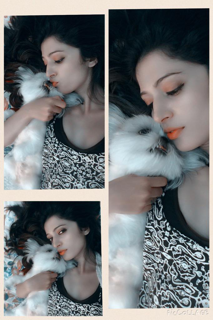 Embedded image permalink