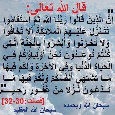 halal1234123's tweet photo. http://t.co/SamWerJBuz