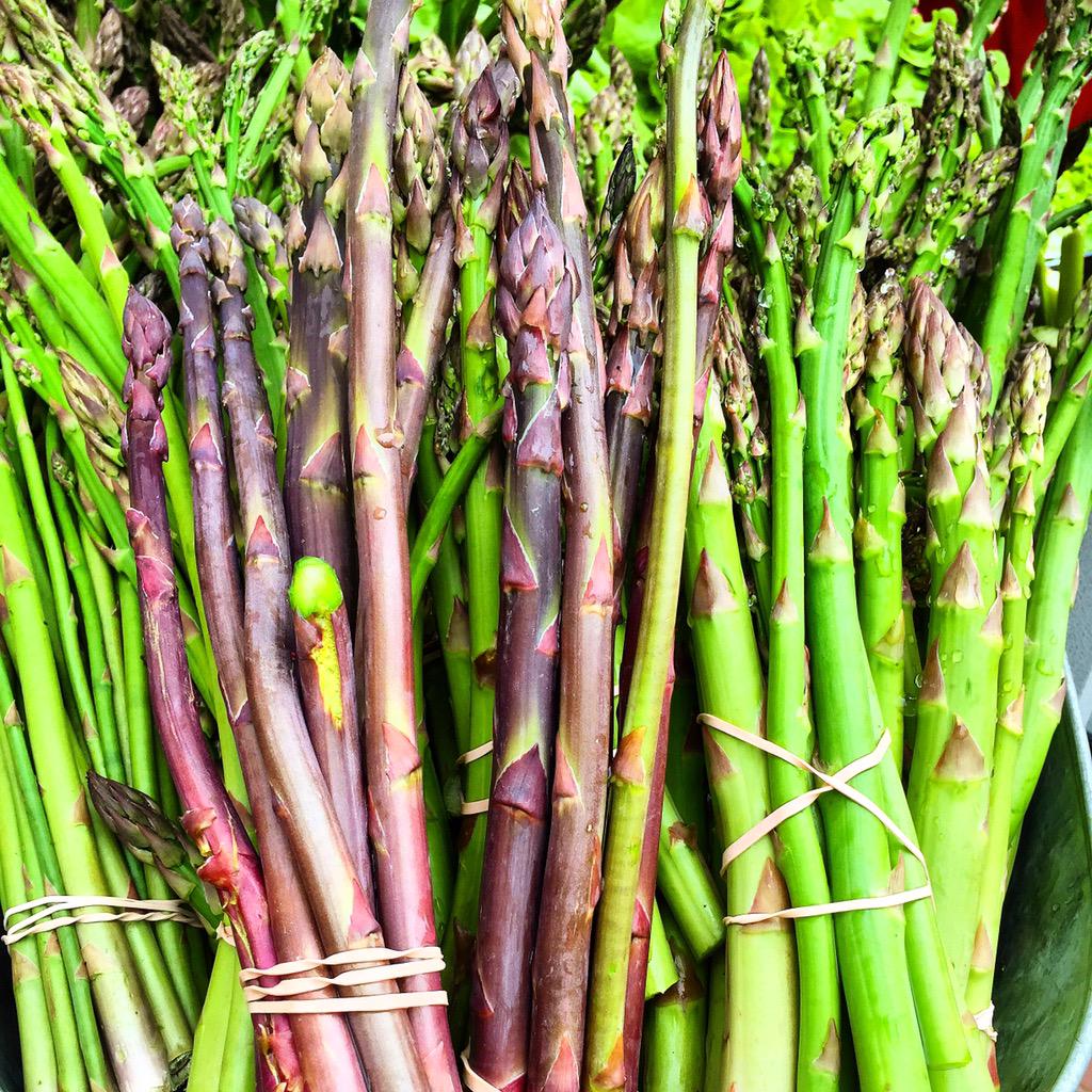 JDSheehy's tweet photo. #Boston #FarmersMarket Season Starts Today! @MAFarmMarkets @Citypresent http://t.co/Q9sVdFjKOb