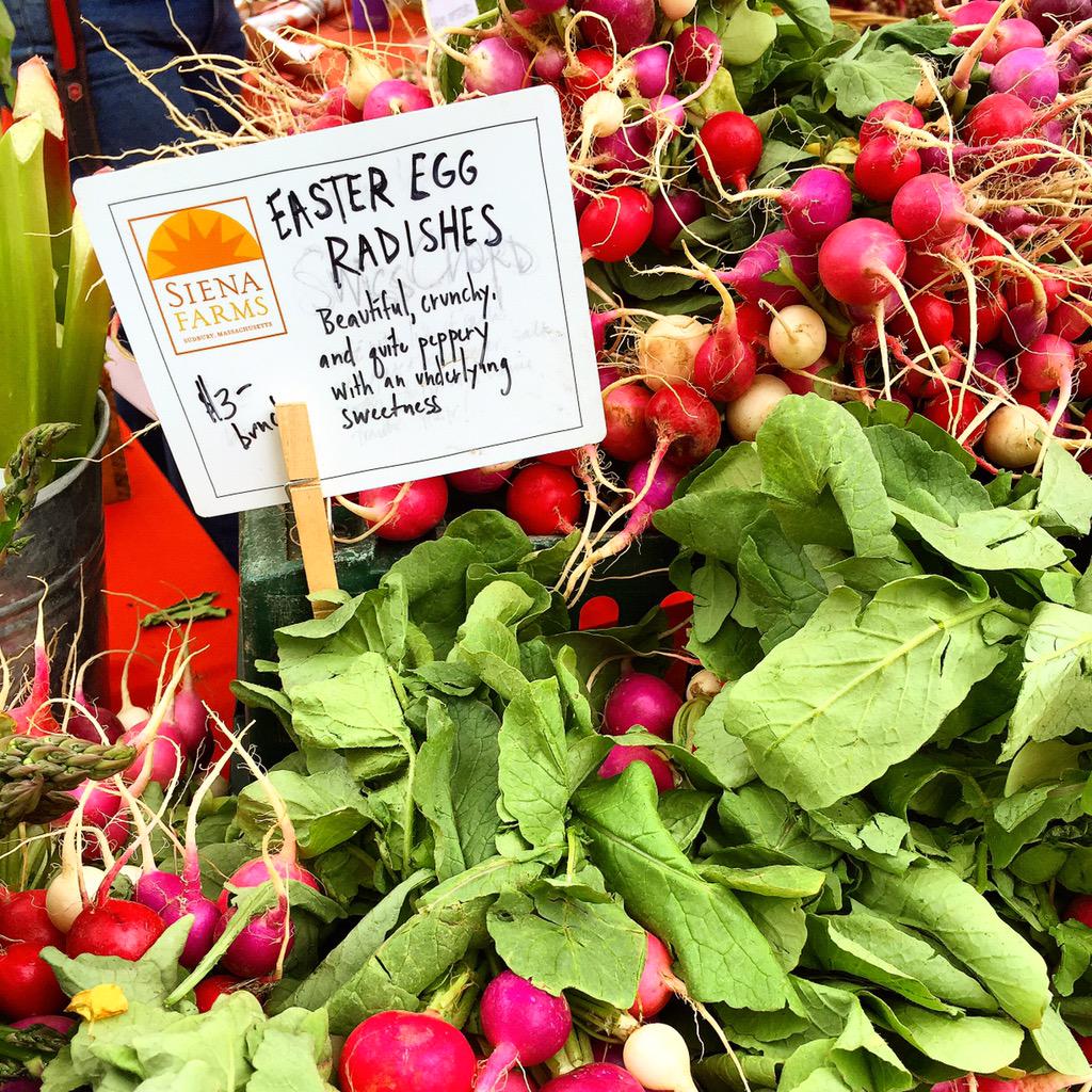 JDSheehy's tweet photo. #Boston #FarmersMarket Season Starts Today! @MAFarmMarkets @Citypresent http://t.co/Q9sVdFjKOb