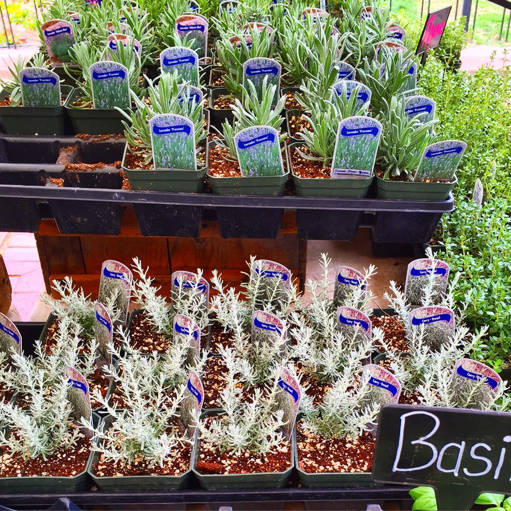 JDSheehy's tweet photo. #Boston #FarmersMarket Season Starts Today! @MAFarmMarkets @Citypresent http://t.co/Q9sVdFjKOb