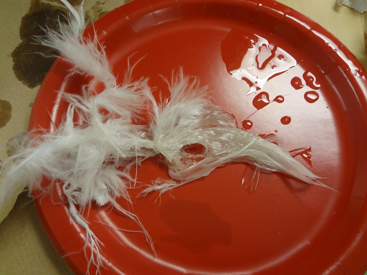 SchleicherClass's tweet photo. Powerful "oil spill" lesson in 5th grade. Ss saved a bird and cleaned it.  Tried to clean "ocean", not as easy! http://t.co/tJQAZTecme