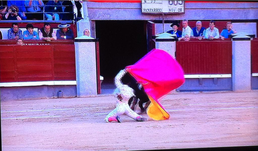 anitinGil's tweet photo. Disfrutando otra tarde más en familia. Gracias @canalplustoros. http://t.co/mtVKIrOLin