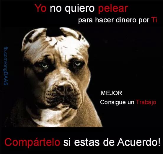13RosasRojasM's tweet photo. @moisemy @SrtaVIP10 @OfiComan Sigeme emy http://t.co/pVUSrTDOkC