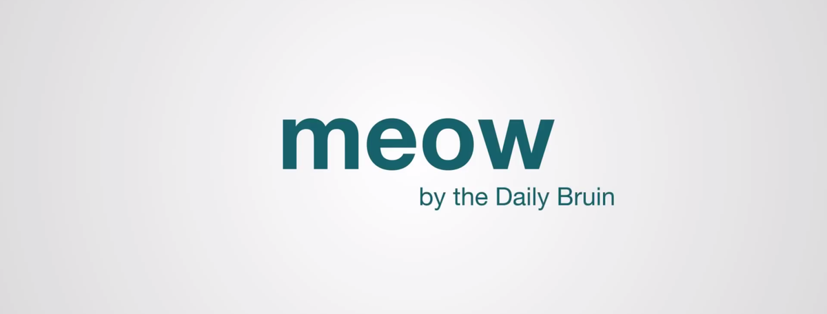_thestack's tweet photo. Look behind-the-scenes at Meow, our social media manager– or just watch the silly promo video. http://t.co/85z3zv1ciw http://t.co/rIK1LuNDwG