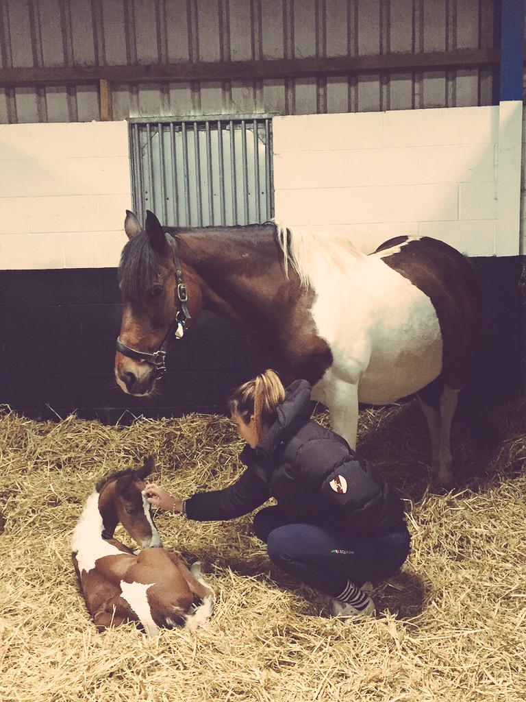 _annieburt's tweet photo. Darcy 😘 x x http://t.co/KDqxFcLhYP