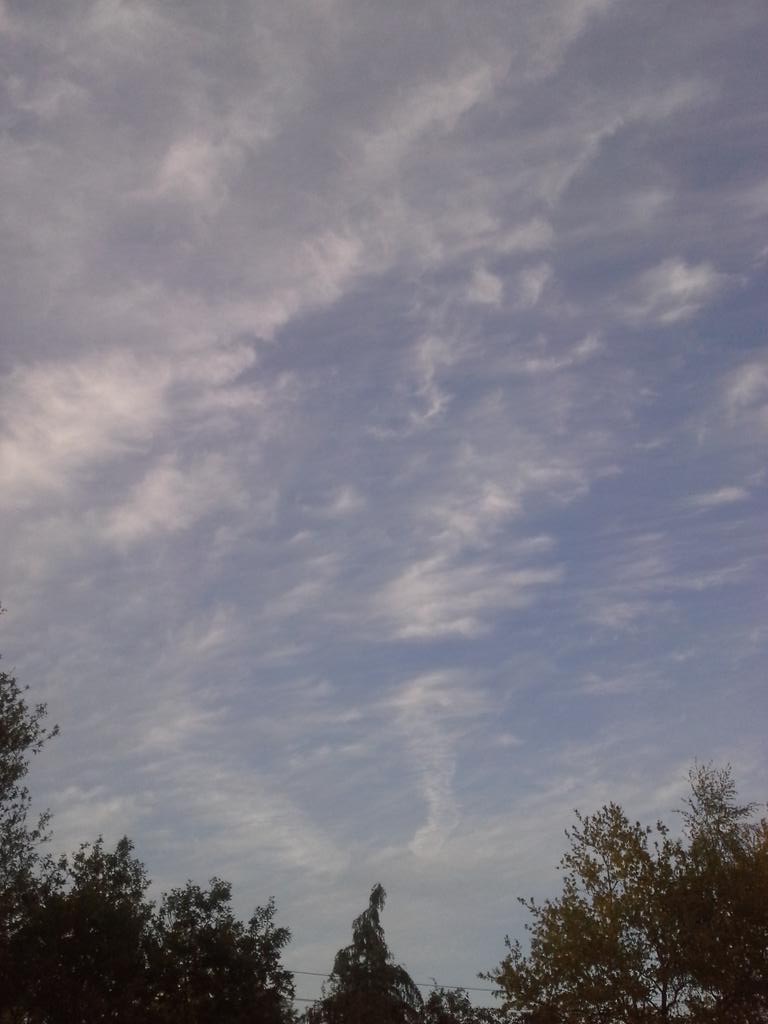 veenhj's tweet photo. Sierlijke cirrusbewolking boven #Steenwijk vanavond. @janvissersweer http://t.co/iabGPGhaJb